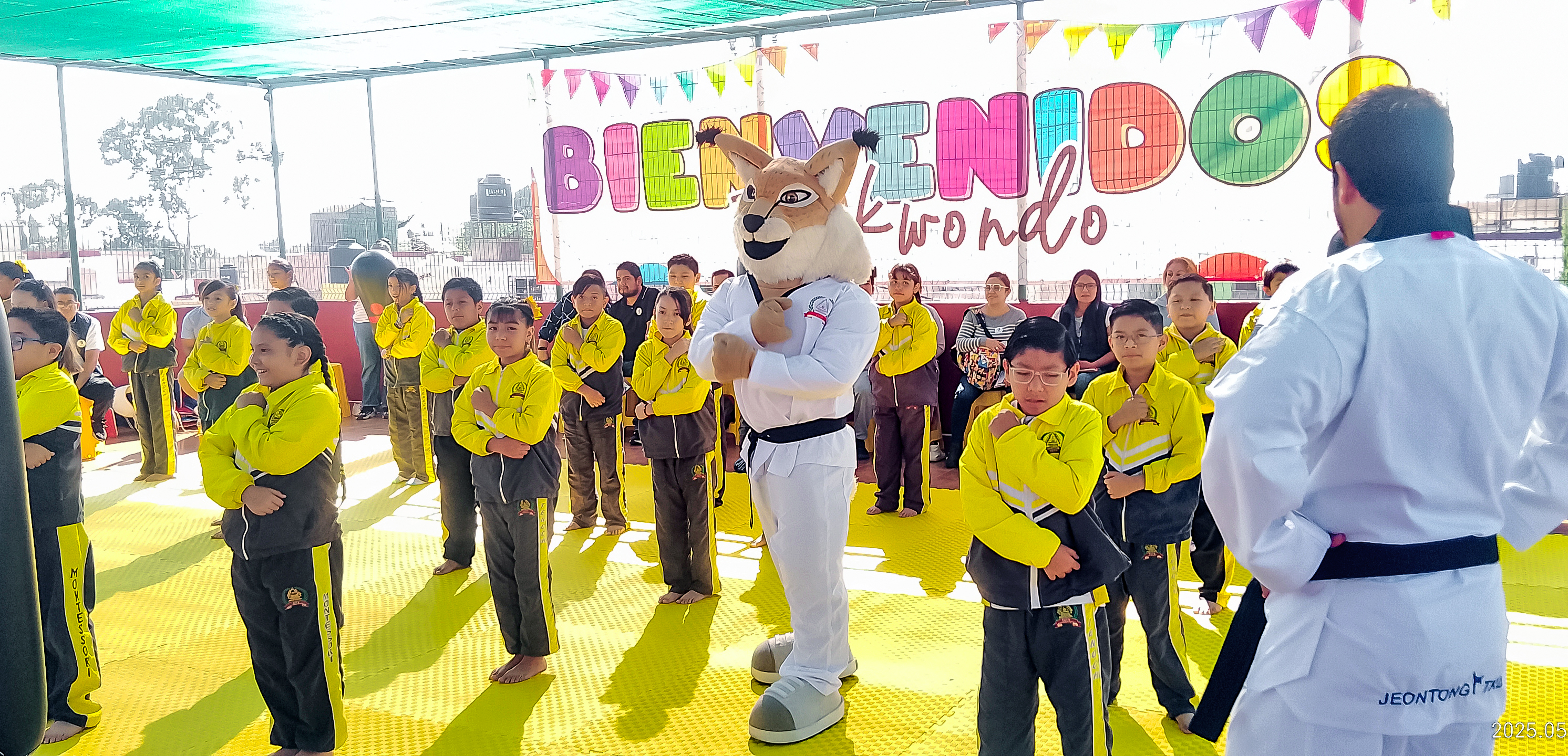 Taekwondo